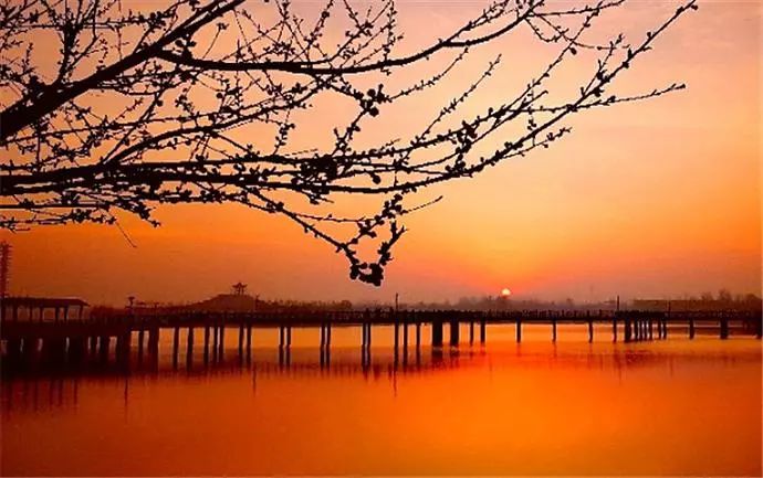 成安朝阳公园被评为三星级公园