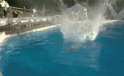 iphone自带相机,iphone自带相机人像