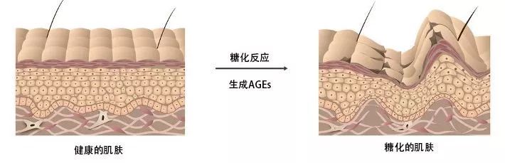 自曝体质特异,一天8杯奶茶喝不胖,粉丝惊呼太夸张