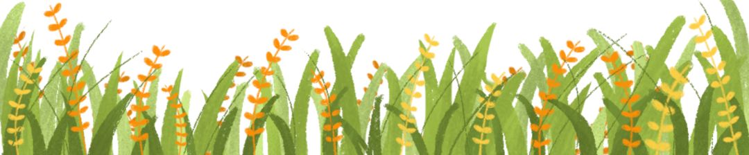 轮胎种植蔬菜,在轮胎里种植蔬菜有什么好处