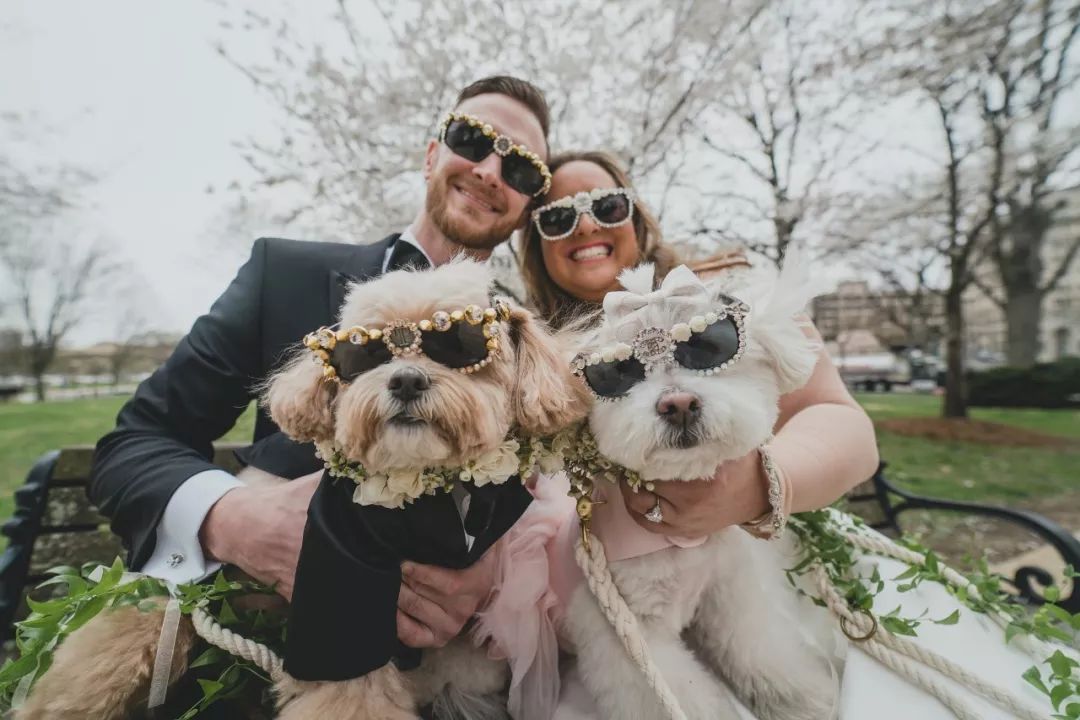 为什么新婚不能带狗,结婚要带狗吗