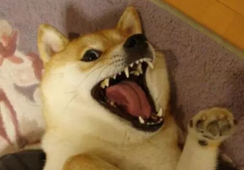 “福利姬”交易：未成年卖大尺度照片，有人年入30万