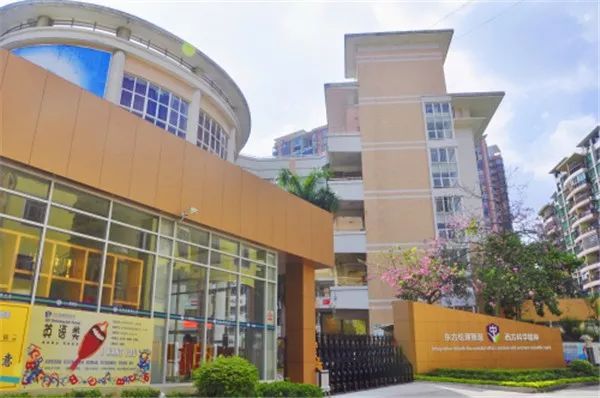 广州十大最好国际小学排名,广州小学课本的收藏