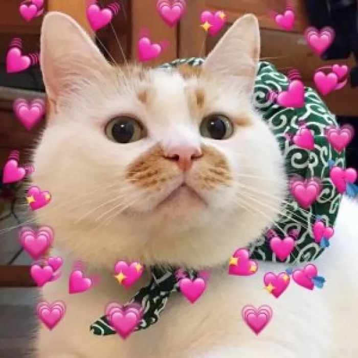 十大无限回购网红秋冬保湿面霜,十大好用又平价的乳液面霜