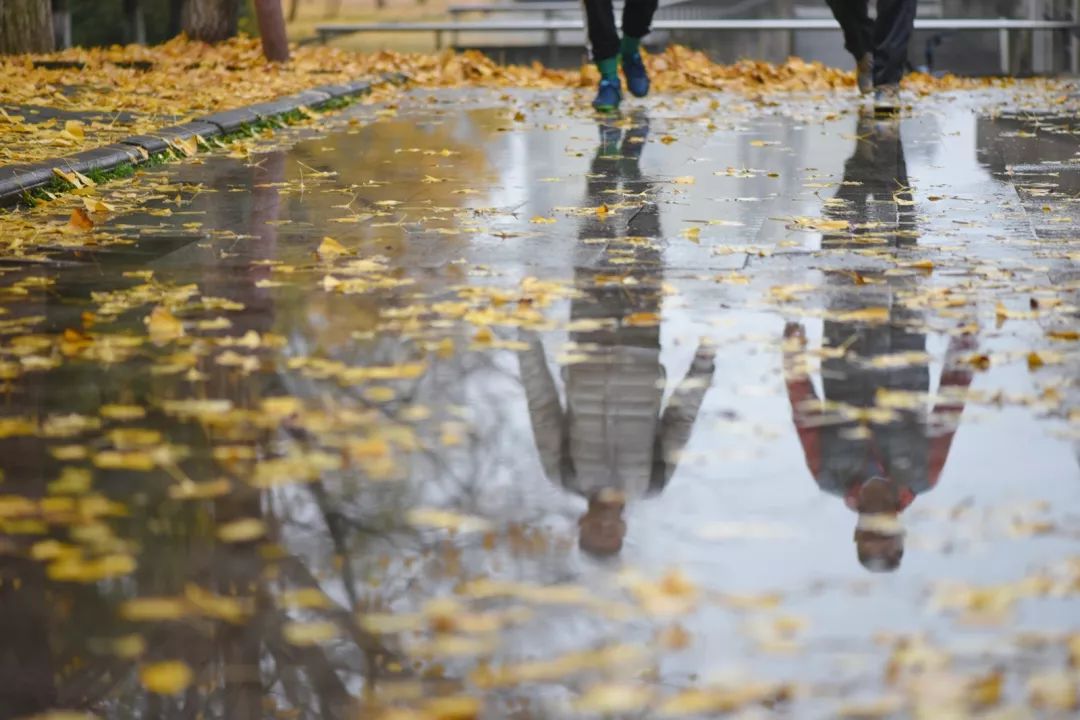“妈，我在华师看了一场金黄色的雪！”