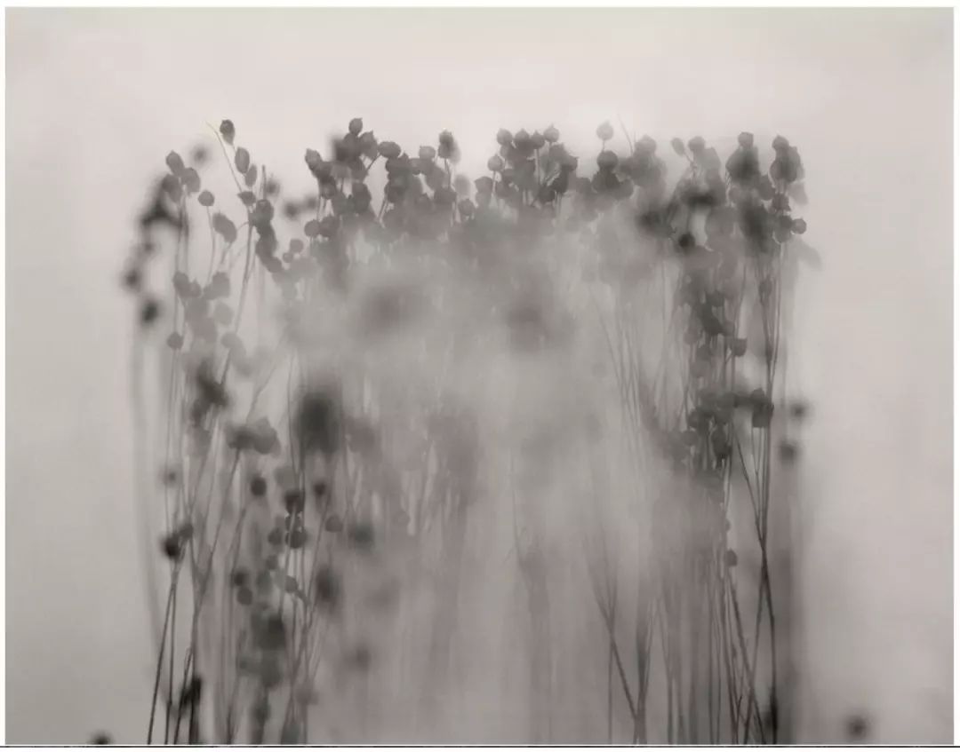 邓晓芒西方美学,邓晓芒学术怎么样