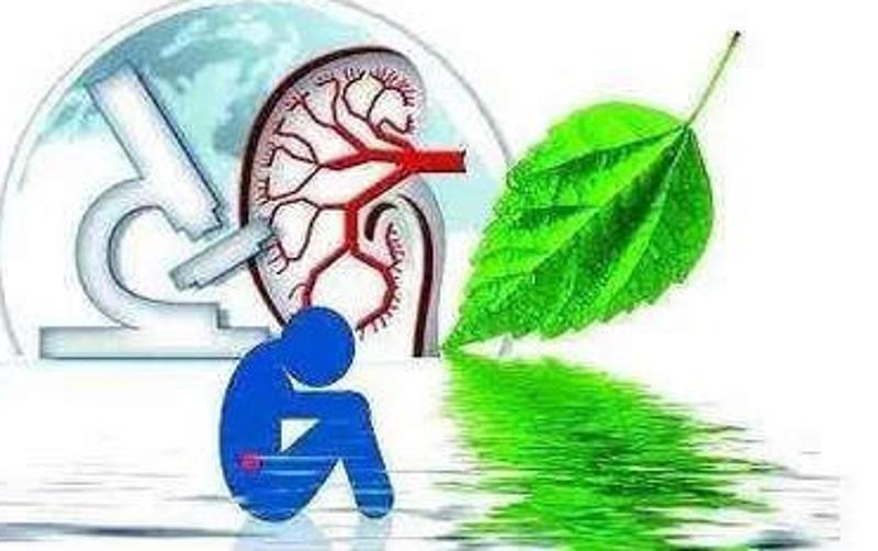 糖尿病肾病逆转和治愈有什么区别,糖尿病肾病引起的蛋白尿能治愈吗