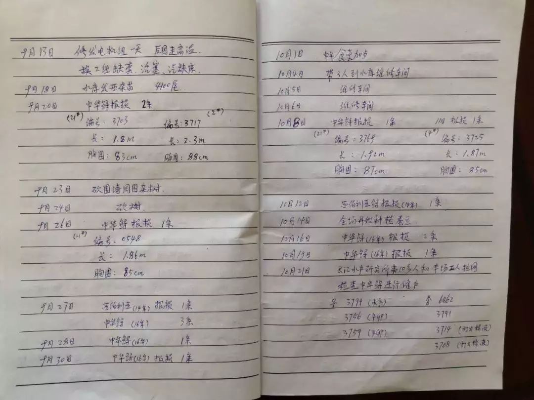 谁杀死了“大鱼”？——生死中华鲟