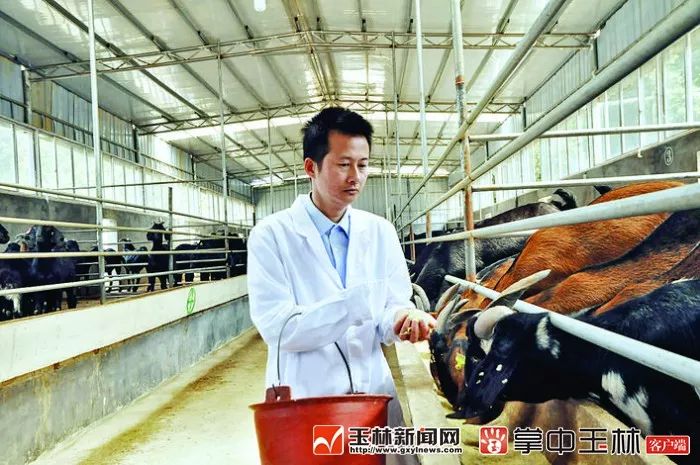 你真的了解博白吗?来了解一下!