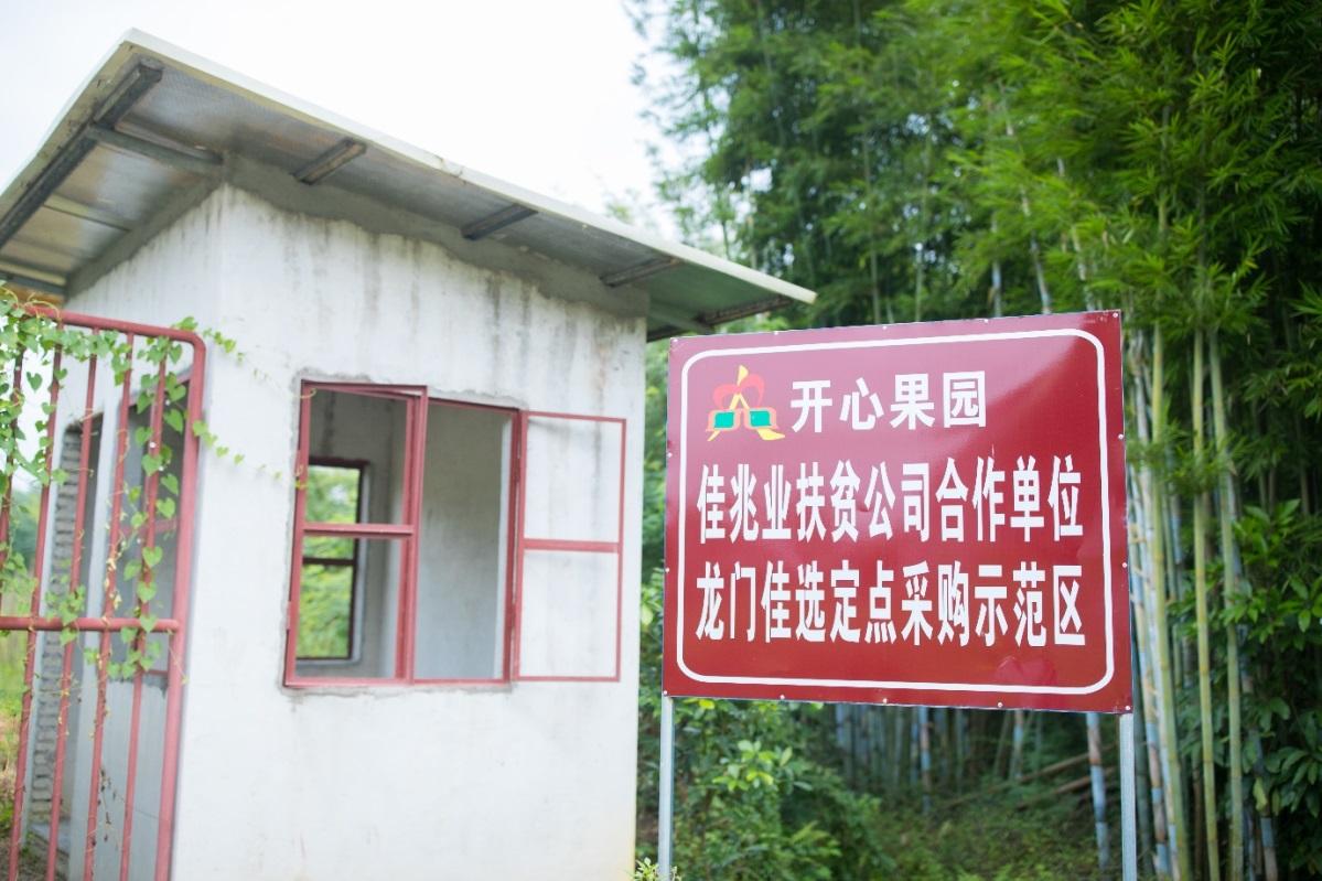 共创美好生活佳兆业遍结慈善之果