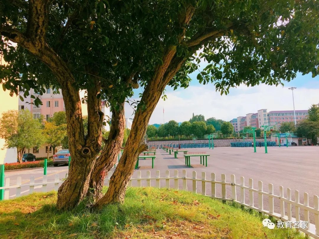 毛坦厂中学的教育方式真的好吗,毛坦厂中学的真实案例