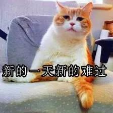 看明月千古情,明月山假日度假酒店免费住!