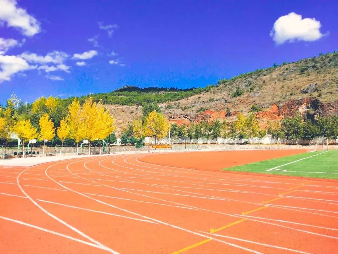 丽江在世界排名第一的大学,想想就激动