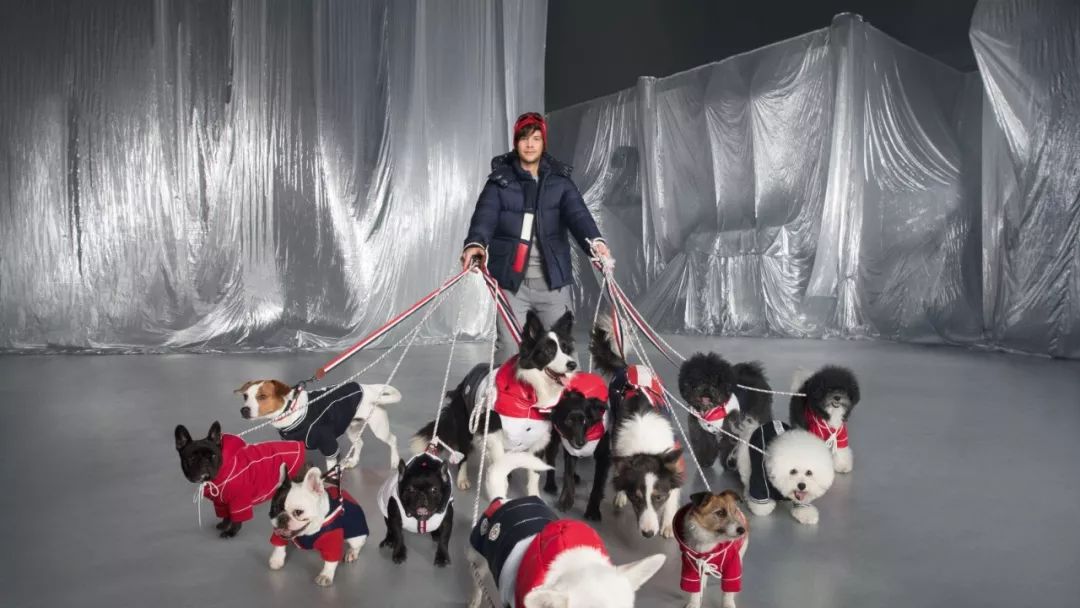 小雀斑衣服,小雀斑穿的大衣