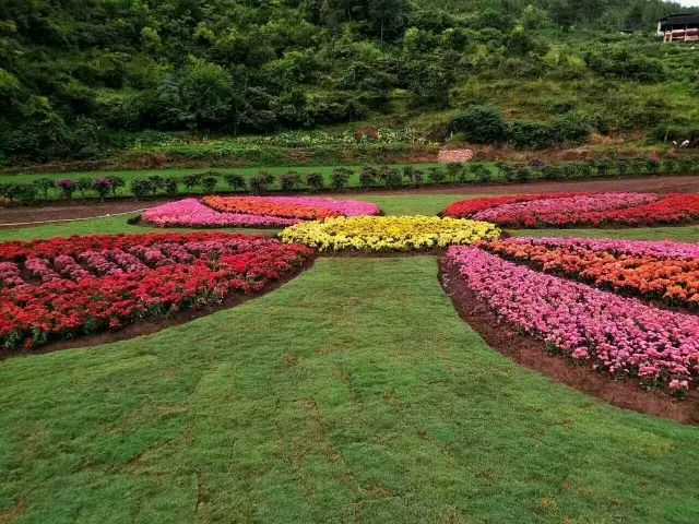 黔东南州5a级景区是哪个,黔东南州凯里碧波花诗园旅游景区