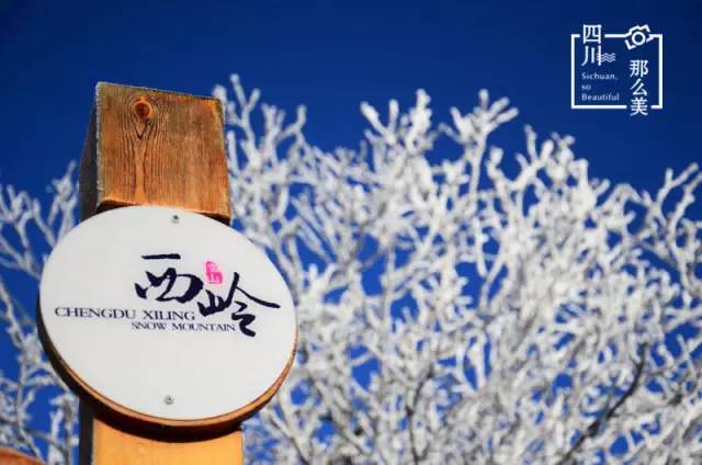 看雪、越野、摘草莓……元旦成都周边打卡指南get√