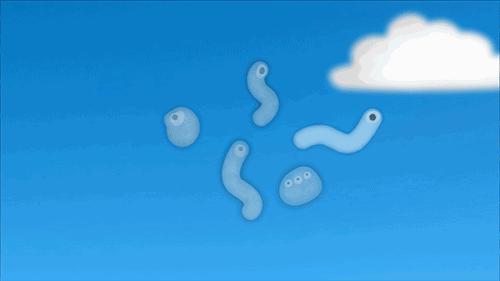 眼睛会发光的小虫,眼睛里有小虫子爬的感觉是咋回事