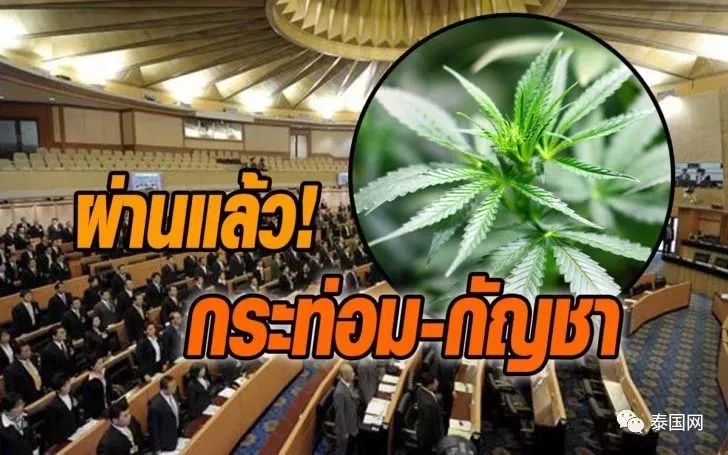 泰国免税店代购必买物品清单,泰国大麻合法化旅游