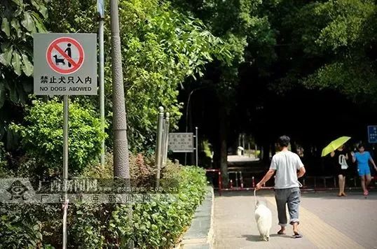 南宁晚上广场舞,现在南宁市能跳广场舞吗