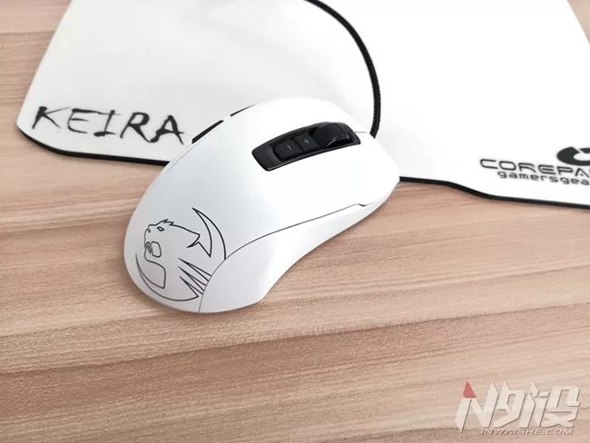 白冰豹子,黑冰和白冰视频