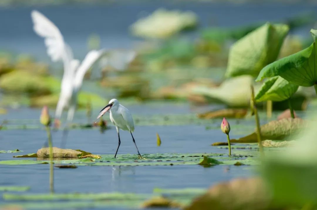 洪湖财政收入,洪湖市财政收入和支出是多少