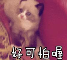 抖音十大美白神器,抖音一洗美白神器