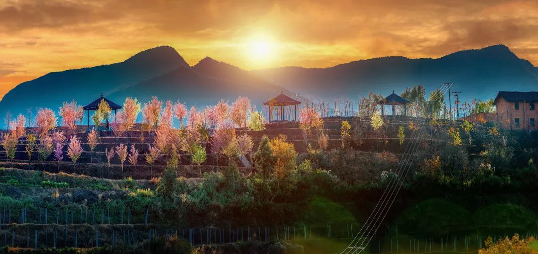 攀枝花旅游攻略自由行最佳路线 (自驾去攀枝花可以经过什么风景区)