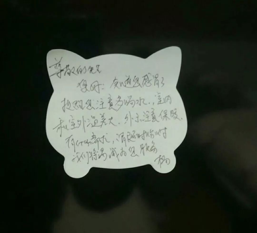 2018，我来过2019，你好｜中国日报X瞬间MomentX