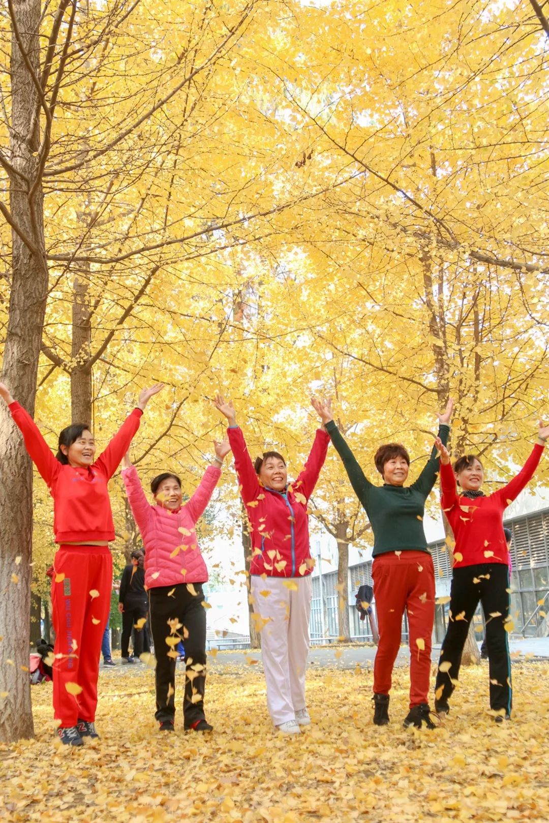 “妈，我在华师看了一场金黄色的雪！”