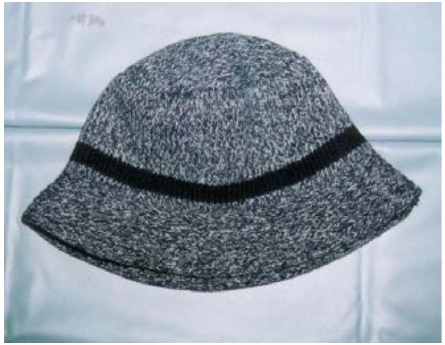 世田谷一家灭门案,世田谷一家灭门悬案凶手