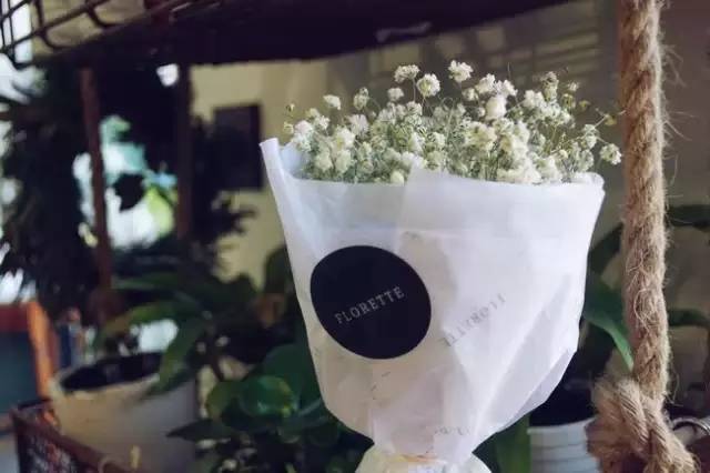 北京才女徐静蕾,徐静蕾李亚鹏北京台