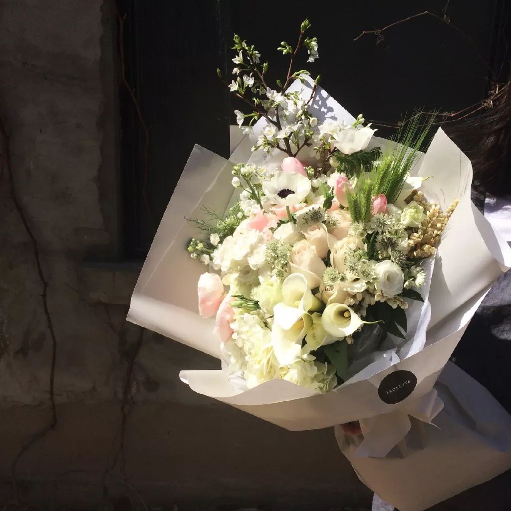 北京才女徐静蕾,徐静蕾李亚鹏北京台