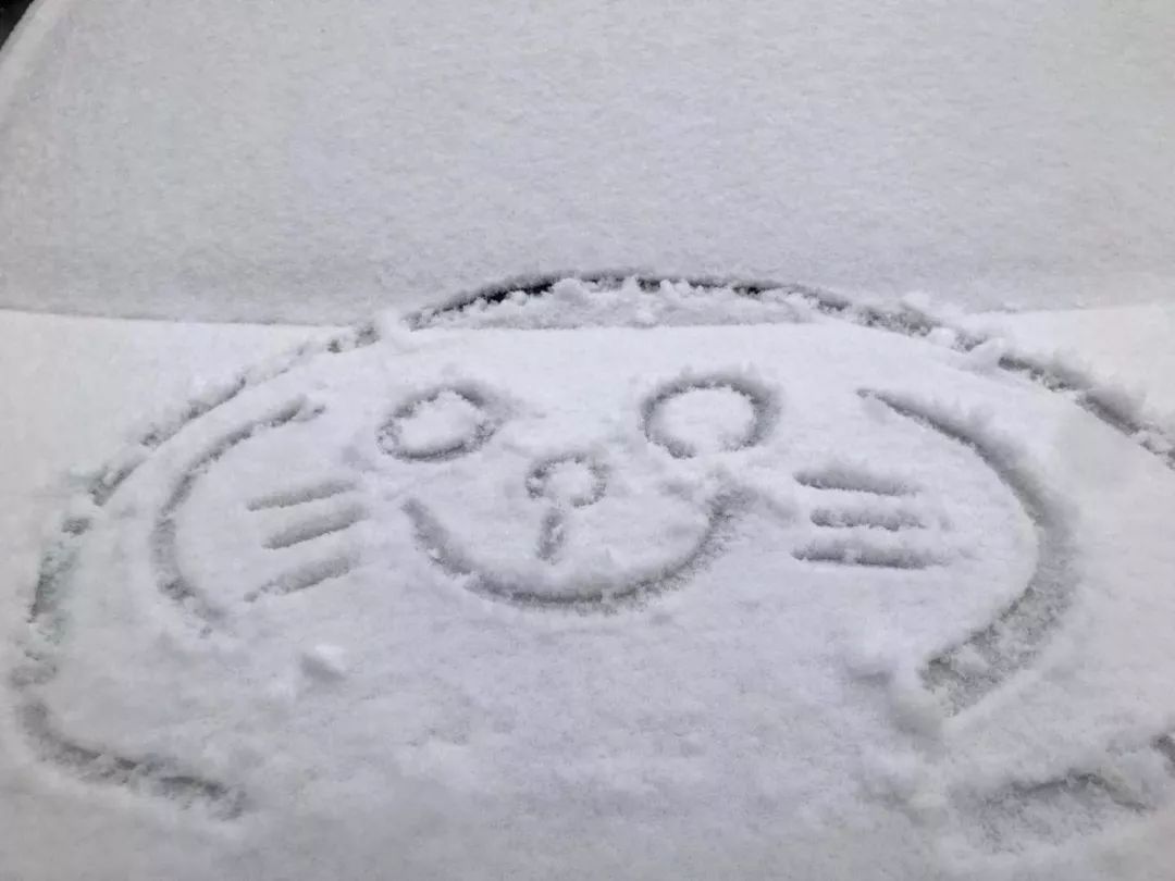 2018年大雪时刻,2018年的大雪和今年大雪