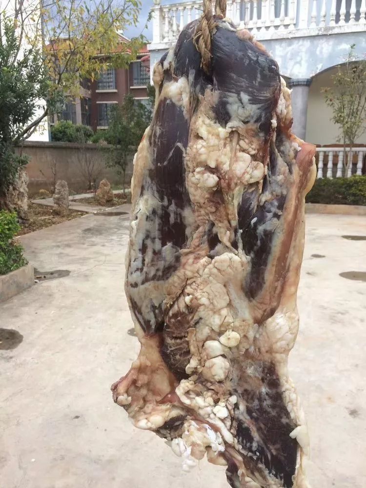 云南寻甸牛干巴做法,舌尖上的云南普洱茶