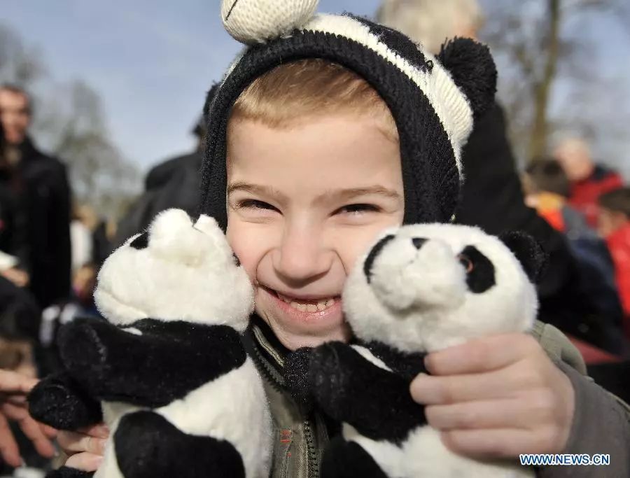 老外多爱猫咪,老外多爱中国