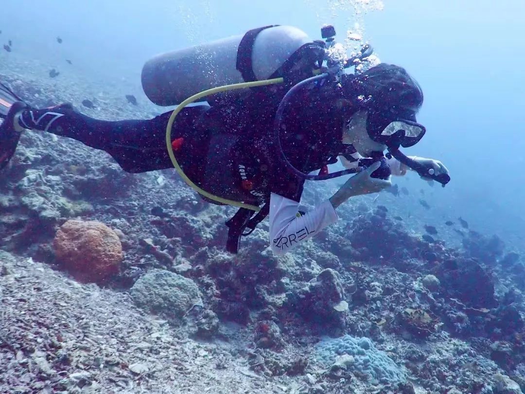 为什么我们总是不能好好相处,为什么我们都选择出国