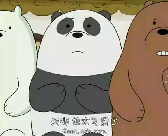 老外到底多喜欢熊猫,老外看中国大熊猫