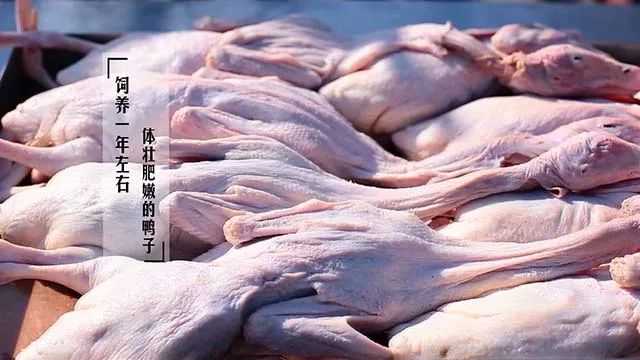 好食鸭绝味,食神酱鸭怎么吃