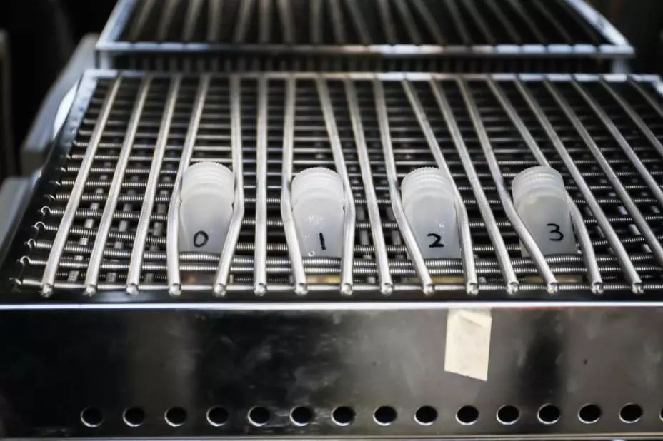 去除腐烂部分的果蔬还能吃吗?