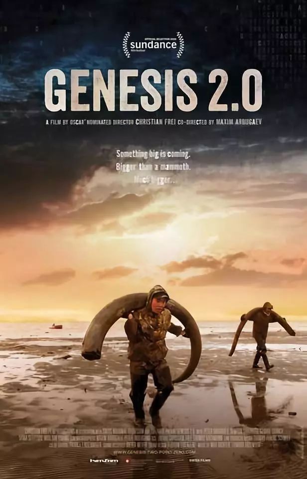 近期网上能看的十部好片,好看的好片推荐一下