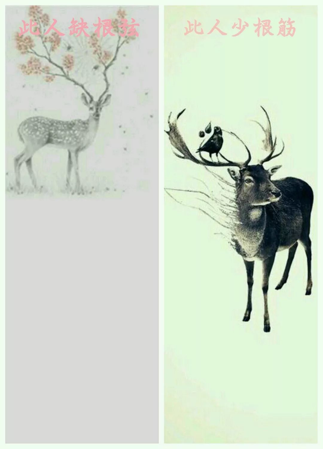 好看的微信聊天背景图片简约图文,好看的微信聊天背景图片最新