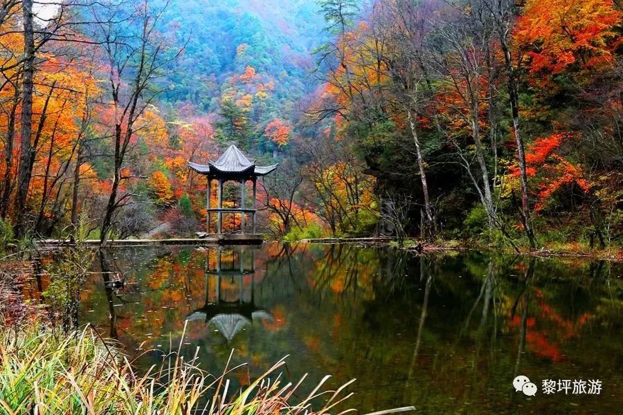 2023年的第一场旅行从成都开始,2019年汉中旅游攻略