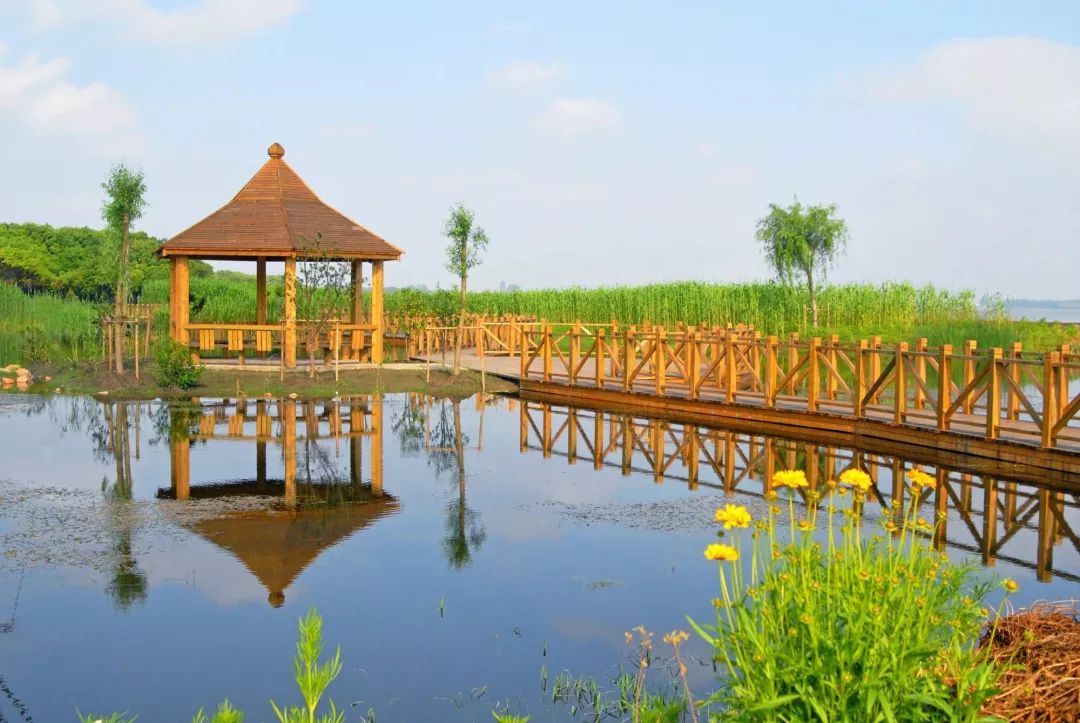 去处｜个记结棍了！上海这个古镇被国家点名，目测要火！