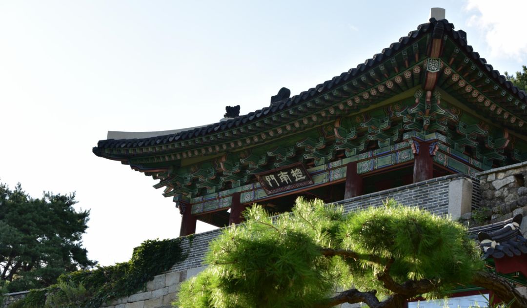 园林大讲堂｜清溪川：韩国人最引以为傲的生态改造项目