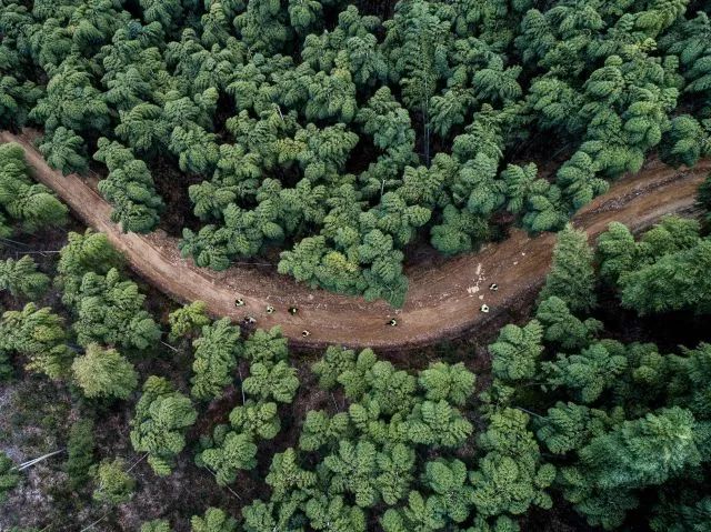 新华社2018新闻,新华社2018年十大新闻