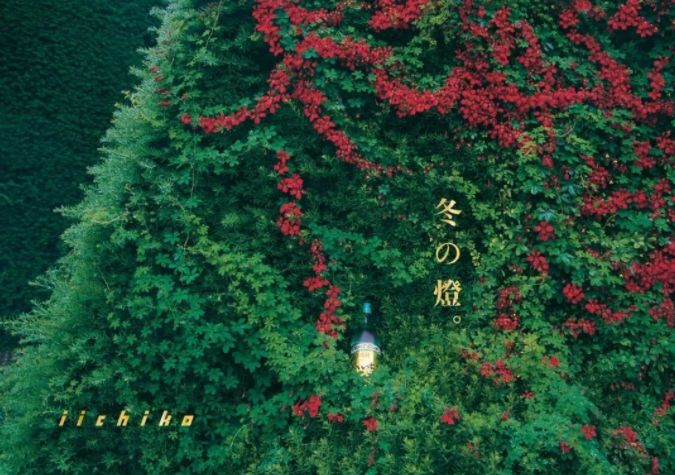 山崎威士忌的五十个秘密,山崎为什么是小众威士忌