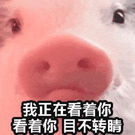 平价水乳精华霜套装有哪些牌子的,好用的中端水乳精华霜品牌