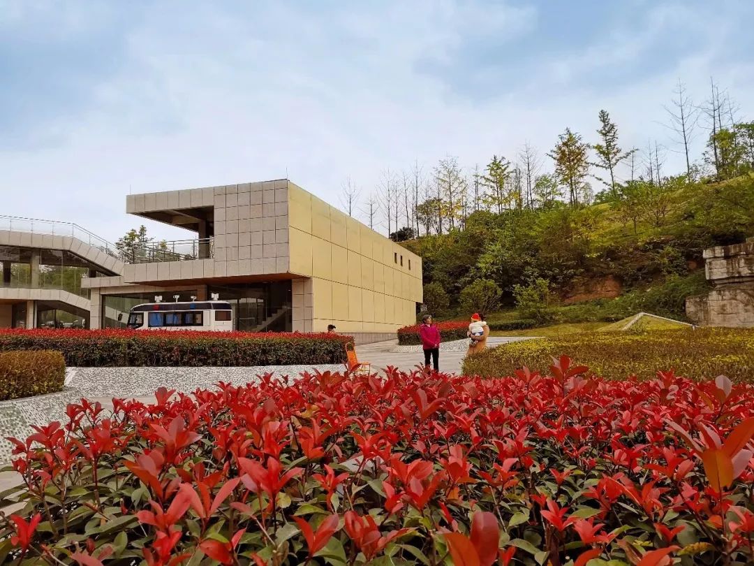 头条｜城市颜值增不停！市城管局精细化管理9大亮点出奇效！