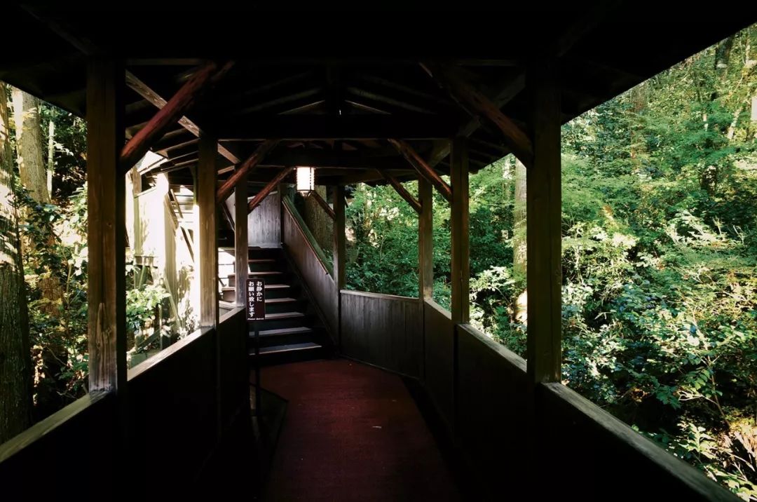 日本大分县旅游攻略,日本冬日3天攻略