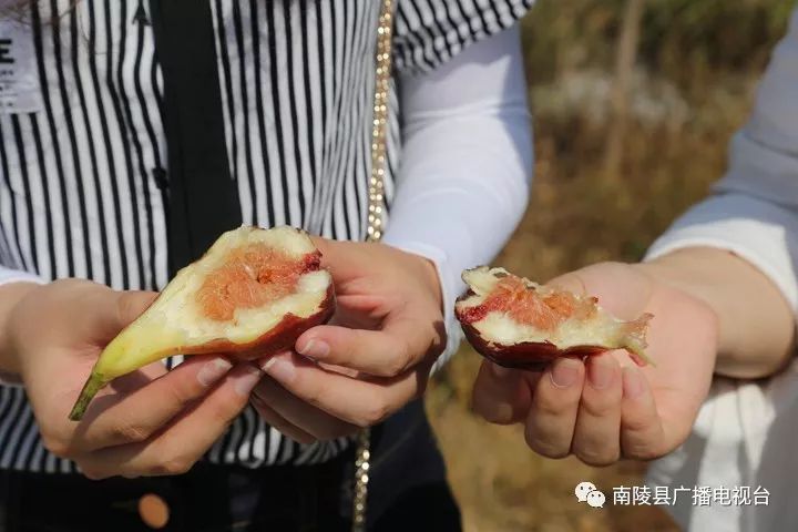 南陵民间故事,南陵历史故事